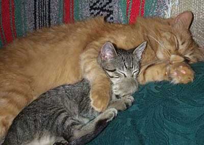 spooning